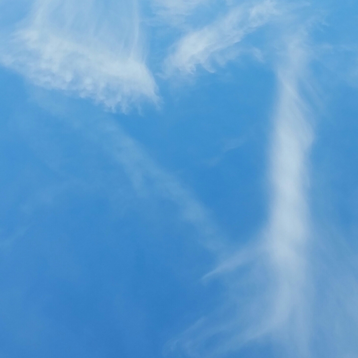 Love is ever present!